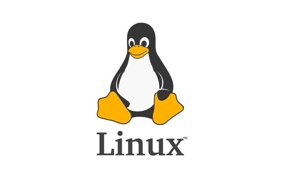 linux penguin